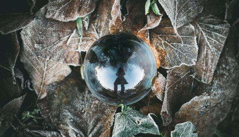 jamie-street-493144-unsplash jamie-street-493144-unsplash