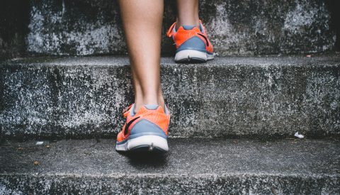 bruno-nascimento-149663-unsplash bruno-nascimento-149663-unsplash